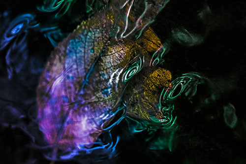 Water Ripple Faced Leaf In Submerged Trance (Rainbow Tint)