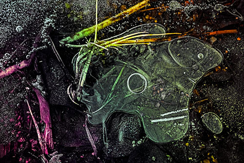 Wide Eyed Bubble Ice Face Looking Downward (Rainbow Tint)