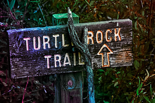 Wooden Turtle Rock Trail Sign (Rainbow Tint Photo)