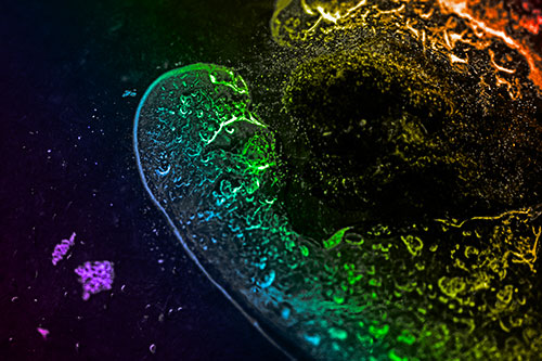 Angry Eyebrow Raised Ice Bubble Creature Bending Beside Mossy Rock (Rainbow Tone)