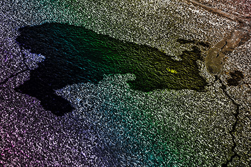 Bunny Rabbit Pavement Puddle Figure Formation (Rainbow Tone)