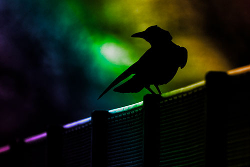 Crow Silhouette Atop Guardrail (Rainbow Tone Photo)