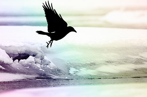 Crow Taking Flight Off Icy Shoreline (Rainbow Tone Photo)