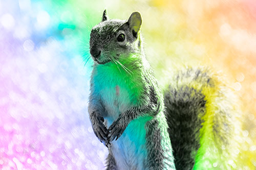Curious Squirrel Standing On Hind Legs (Rainbow Tone Photo)