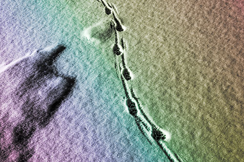 Curving Animal Footprint Trail Dragging Along Snow (Rainbow Tone Photo)