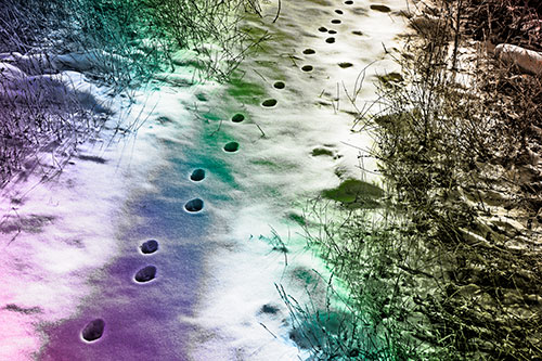 Deep Snow Animal Footprint Markings (Rainbow Tone Photo)
