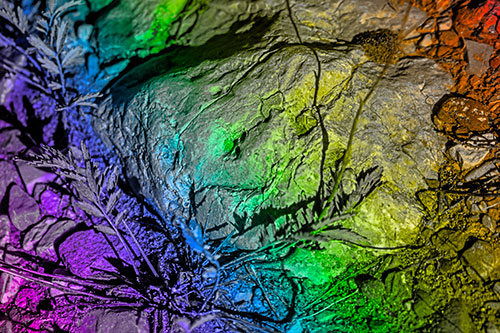 Demonic Leaf Mouthed Rock Face Snarling Among Dirt (Rainbow Tone)