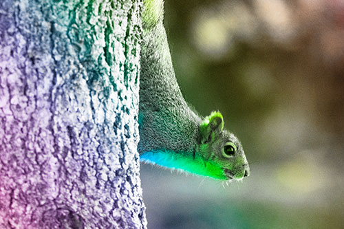 Downward Squirrel Yoga Tree Trunk (Rainbow Tone Photo)