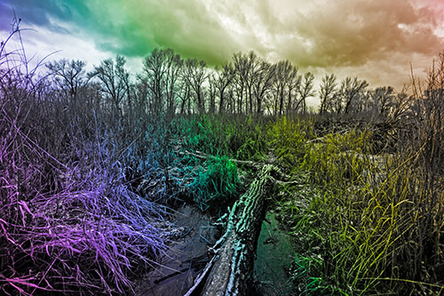 Fallen Snow Covered Tree Log Among Reed Grass (Rainbow Tone Photo)