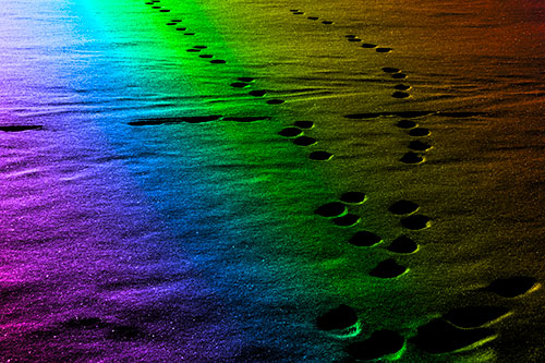 Footprint Trail Across Snow Covered Lake (Rainbow Tone Photo)