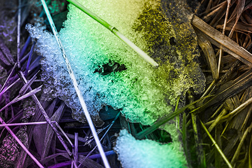 Half Melted Ice Face Smirking Among Reed Grass (Rainbow Tone Photo)