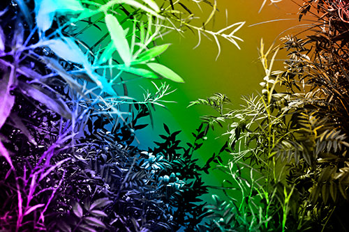 Horde Of Fern Plants Descending Into River Water (Rainbow Tone)