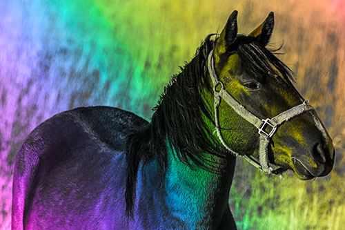 Horse Enjoying Grassy Dinner Meal (Rainbow Tone Photo)