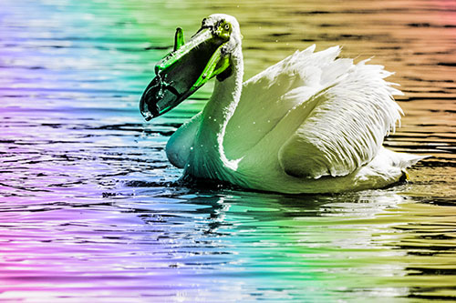 Hungry Pelican Captures Salamander For Breakfast (Rainbow Tone)