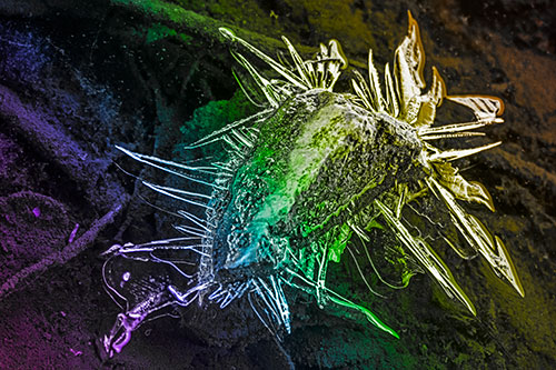 Jagged Spiked Ice Surrounds Water Submerged Rock (Rainbow Tone)