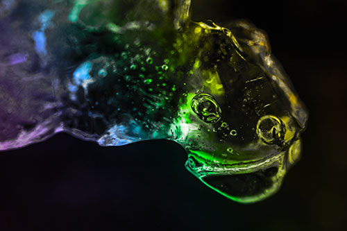 Joyful Frozen Bubble Eyed River Ice Face Creature (Rainbow Tone Photo)