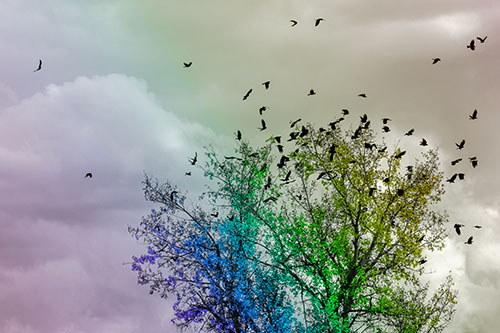 Murder Of Crows Swarm Autumn Tree (Rainbow Tone)
