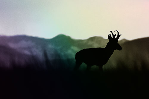 Pronghorn Silhouette Across Mountain Range (Rainbow Tone Photo)