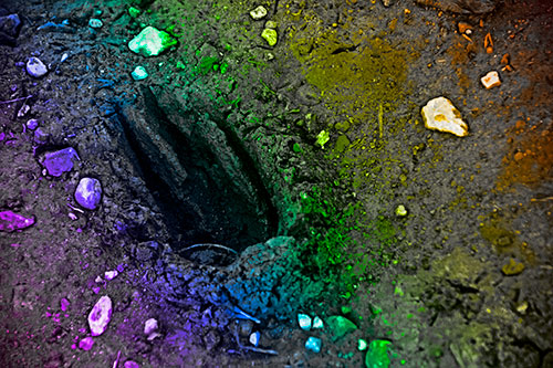 Rocks Surround Deep Mud Paw Footprint (Rainbow Tone Photo)