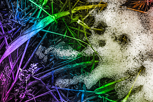 Sad Mouth Melting Ice Face Creature Among Soggy Grass (Rainbow Tone)