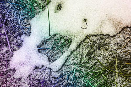 Screaming Stick Eyed Snow Face Among Grass (Rainbow Tone Photo)