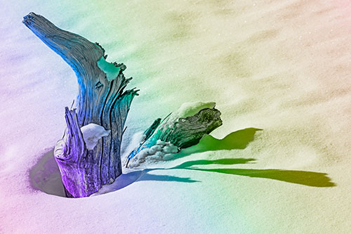 Shadow Casting Tree Trunk Waving Among Snow (Rainbow Tone)