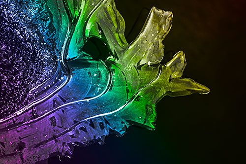 Smooth Ice Face Creature Hanging Above River Shoreline (Rainbow Tone)
