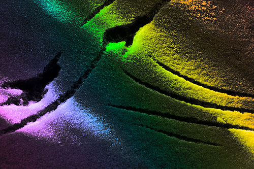 Snowy Bird Footprint Claw Marks (Rainbow Tone Photo)