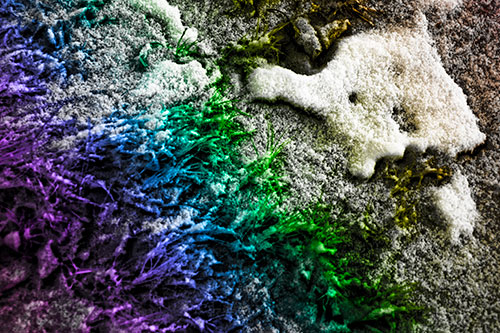 Snowy Grass Forming Demonic Horned Creature (Rainbow Tone Photo)
