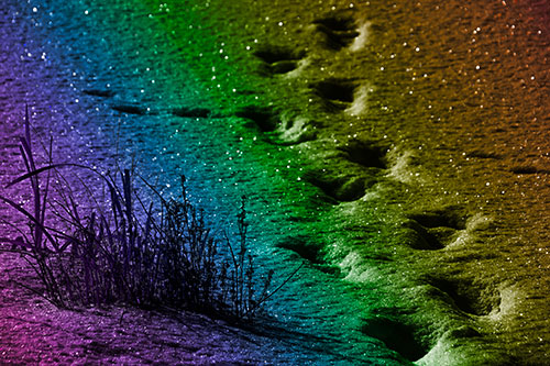 Sparkling Snow Footprints Across Frozen Lake (Rainbow Tone Photo)