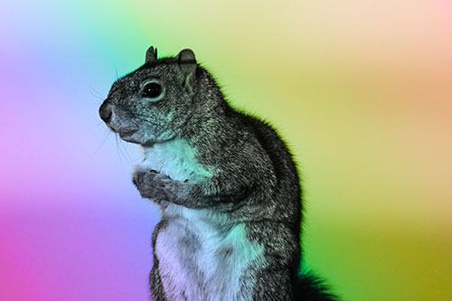 Squirrel Holding Food Tightly Amongst Chest (Rainbow Tone)