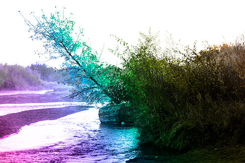 Tilted Fall Tree Over Flowing River (Rainbow Tone Photo)