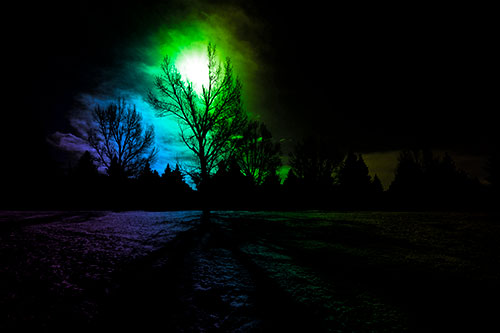 Tree Silhouette Holds Sun Among Darkness (Rainbow Tone Photo)