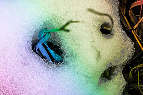 Twisting Grass Eyed Snow Face (Rainbow Tone)