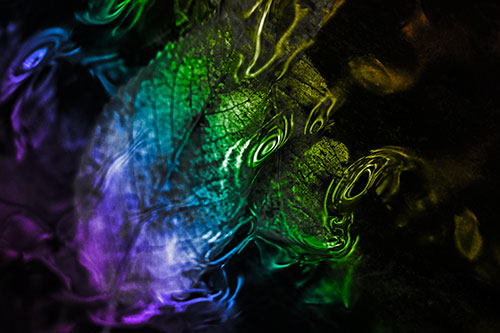 Water Ripple Faced Leaf In Submerged Trance (Rainbow Tone)
