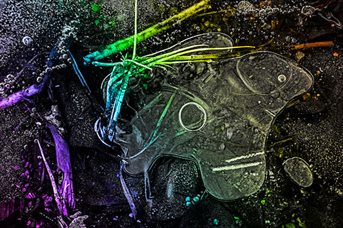 Wide Eyed Bubble Ice Face Looking Downward (Rainbow Tone)