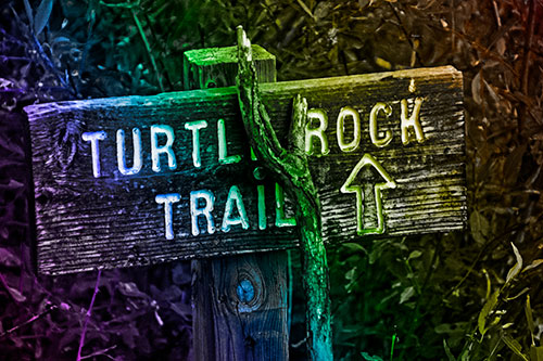 Wooden Turtle Rock Trail Sign (Rainbow Tone Photo)