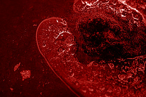 Angry Eyebrow Raised Ice Bubble Creature Bending Beside Mossy Rock (Red Shade)