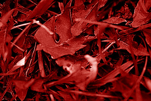 Angry Rotting Triangular Leaf Face (Red Shade)