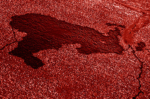 Bunny Rabbit Pavement Puddle Figure Formation (Red Shade)