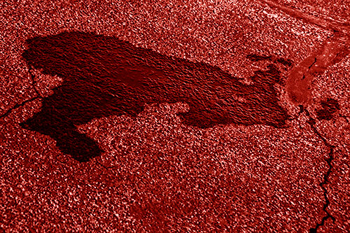 Bunny Rabbit Puddle Figure Formation (Red Shade Photo)