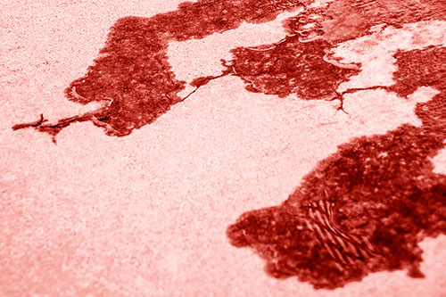 Creeping Water Puddle Across Concrete Pavement (Red Shade)