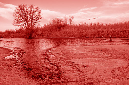 Dead Trees Surround Ice Melting River (Red Shade)
