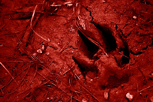 Deep Muddy Dog Footprint (Red Shade Photo)
