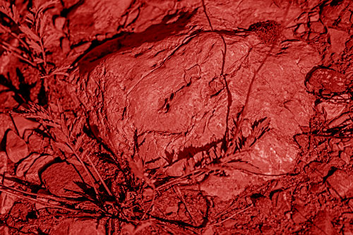 Demonic Leaf Mouthed Rock Face Snarling Among Dirt (Red Shade)