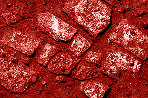 Dirt Covered Stepping Stones (Red Shade Photo)