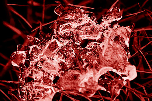 Dismayed Ice Dragon Face Frozen Among Piercing Grass Blades (Red Shade)