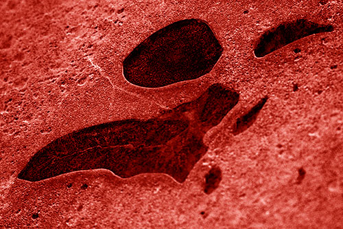 Distorted Skull Face Within Frozen Ice (Red Shade Photo)