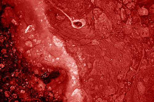 Distressed Oil Face Swirling Among Rocky Shore (Red Shade)