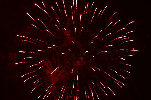 Firework Star Trails Vaporize Among Night Sky (Red Shade Photo)